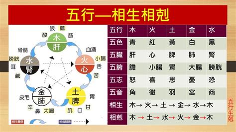 五行相剋表|五行相生相剋說明